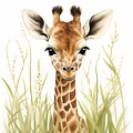 Graceful Wonder - Baby Giraffe
